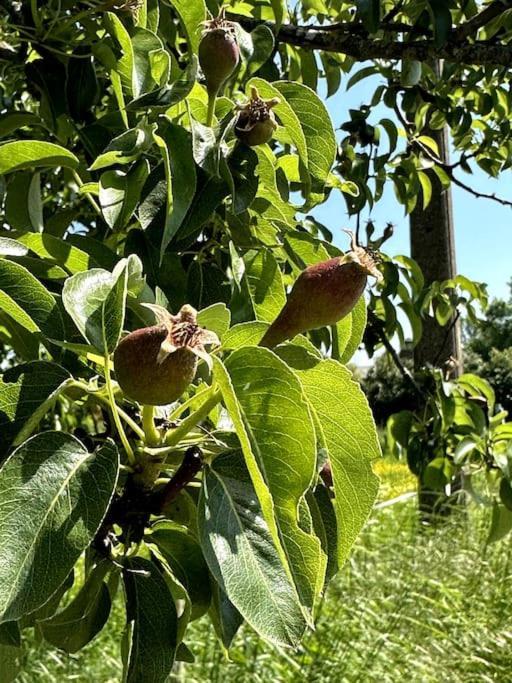 Vakantiewoning Hoogveld Kortessem Bagian luar foto