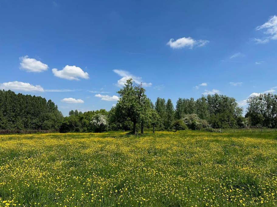 Vakantiewoning Hoogveld Kortessem Bagian luar foto
