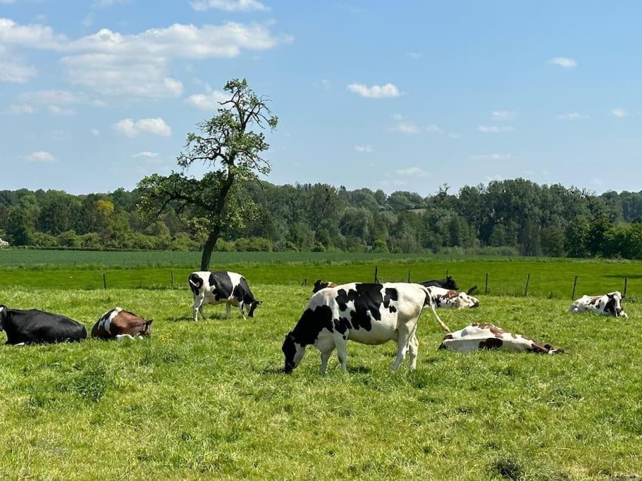Vakantiewoning Hoogveld Kortessem Bagian luar foto
